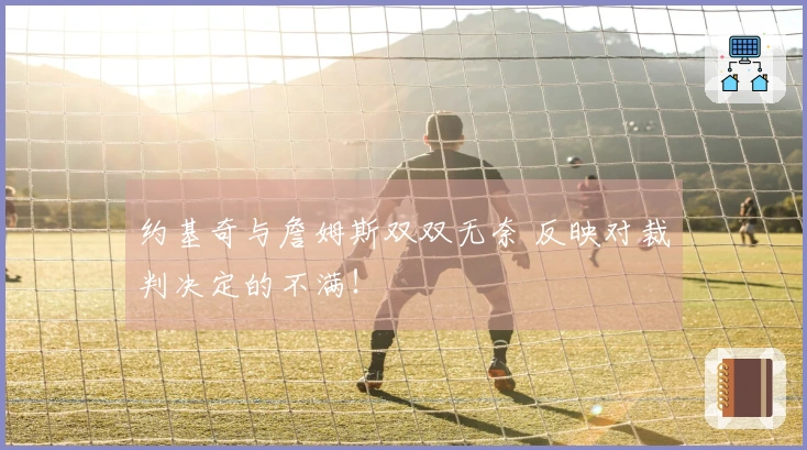 约基奇与詹姆斯双双无奈 反映对裁判决定的不满！