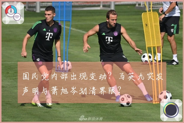 国民党内部出现变动？马英九突发声明与萧旭岑划清界限？