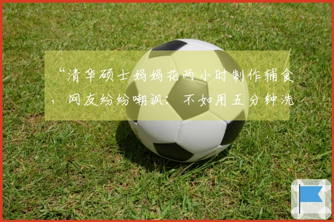 “清华硕士妈妈花两小时制作辅食，网友纷纷嘲讽：不如用五分钟洗头”